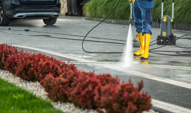 Best Deck Pressure Washing  in Camano, WA