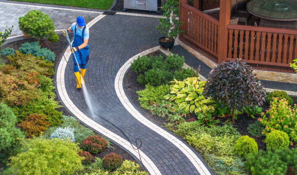 Roof Power Washing Services in Camano, WA